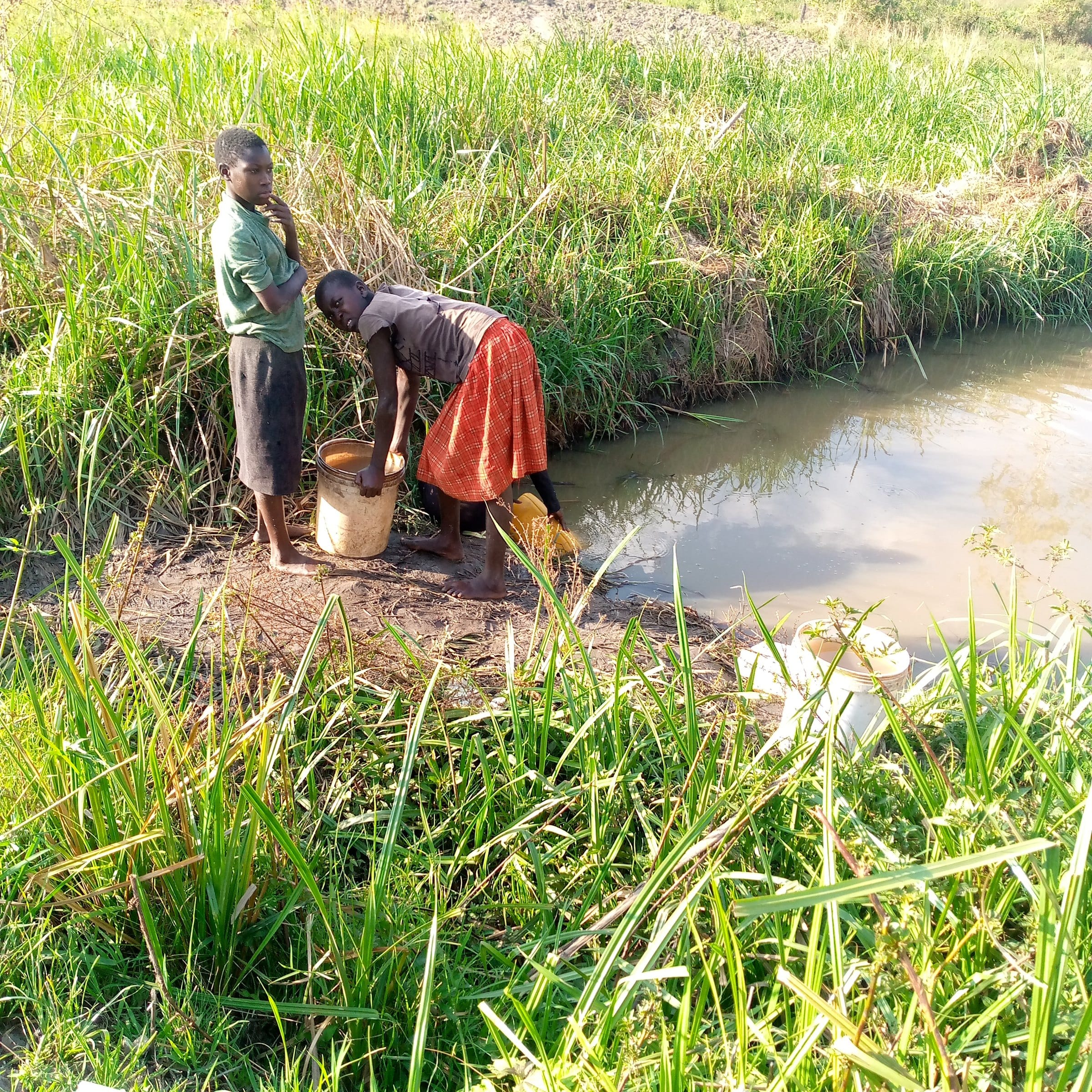 Girls fetching water from a stream in Yei County