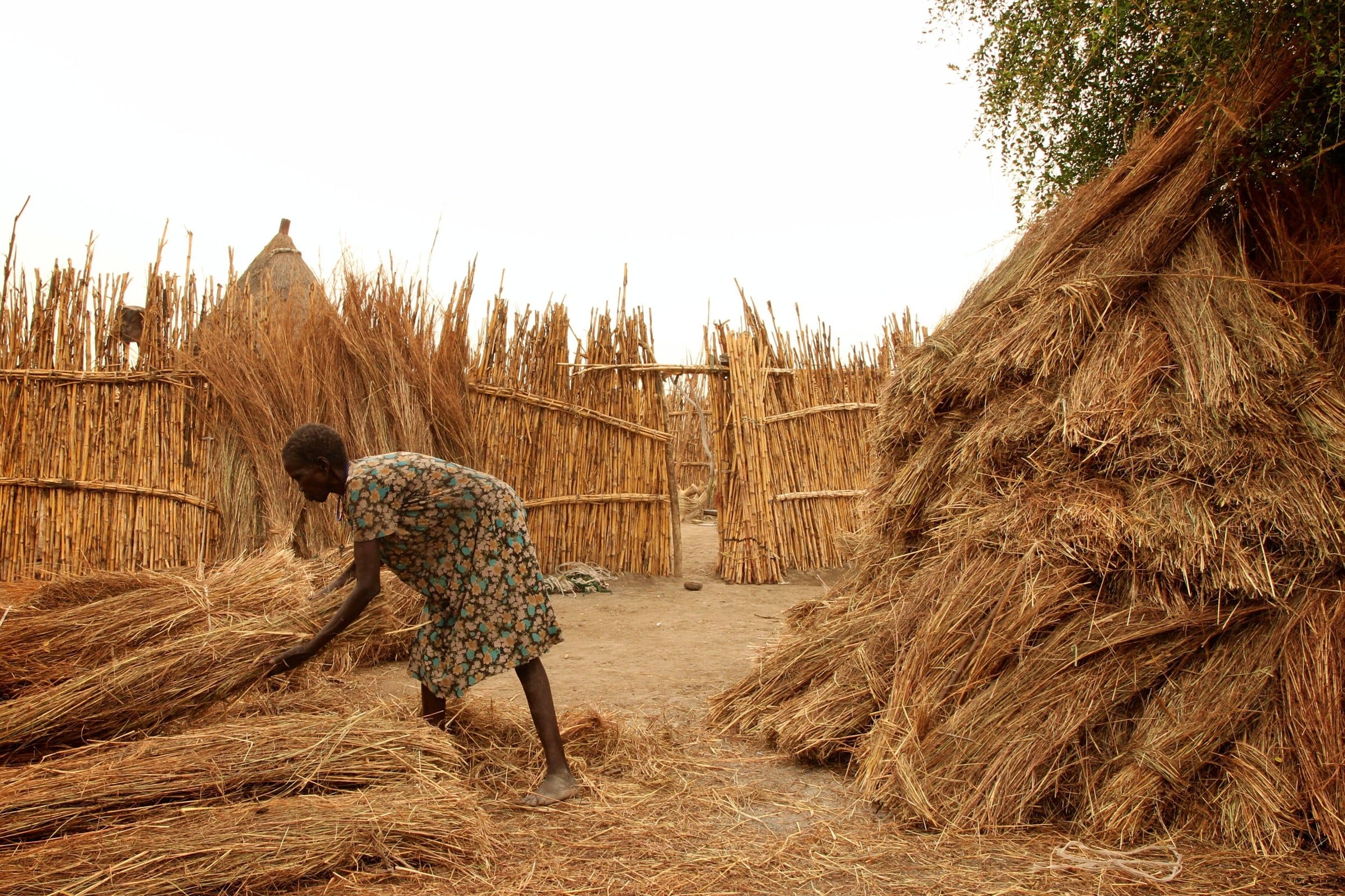 A woman gathering grass to thatch a hut